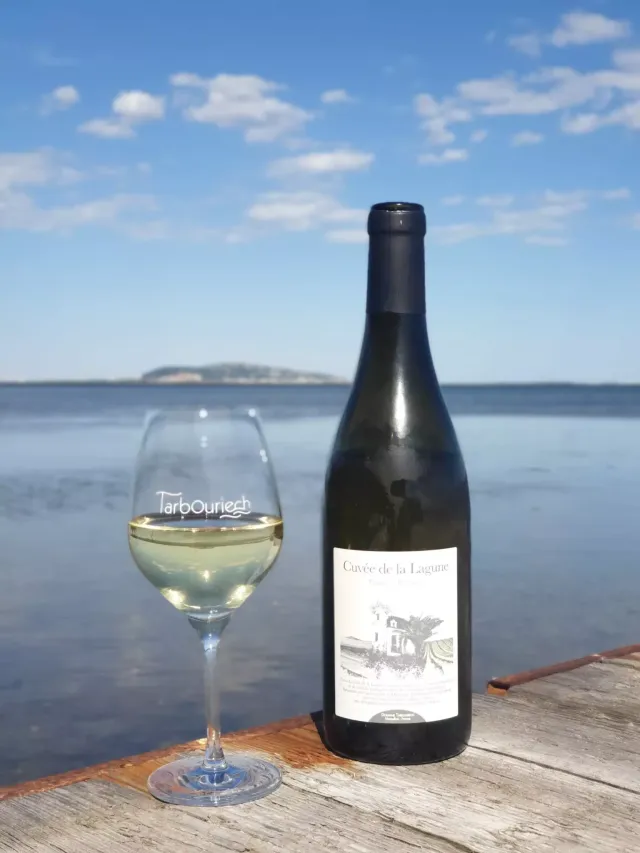 Tarbouriech Cuvée de la Lagune Blanc bílé víno 75 cl