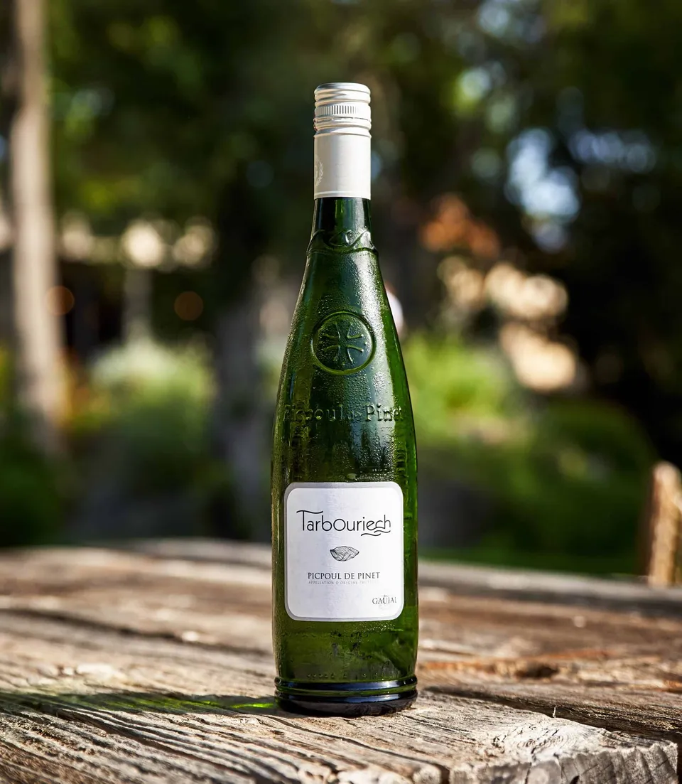 Tarbouriech Sélection Picpoul de Pinet bílé víno láhev suché